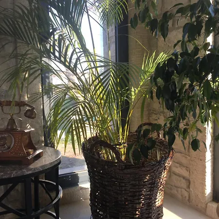 Villabagyolu 3* Kuscular