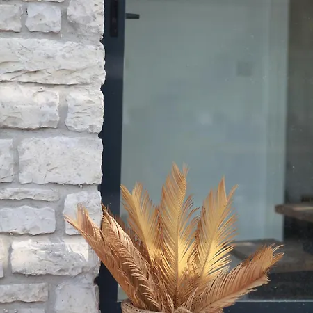 Villabagyolu Hotel Kuscular